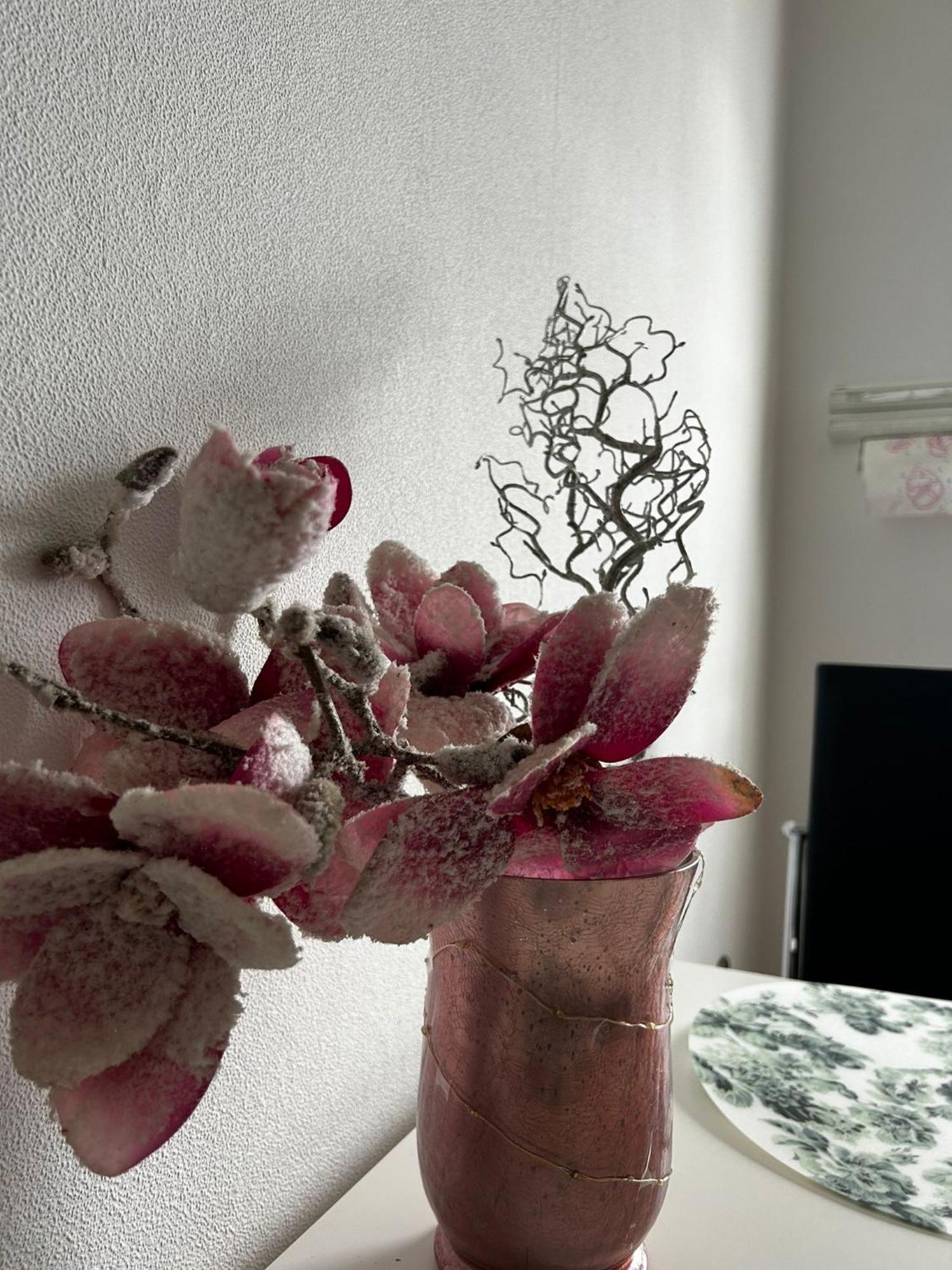 Gemuetliche Ferienwohnung-appartement Apartment Bad Oeynhausen
